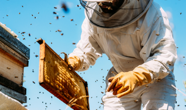 What Do You Need To Start Beekeeping? 8 Items In A Beekeeper’s Essential Kit