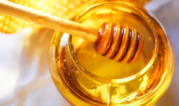 The Beekeeping Industry: What's Happening in 2023?