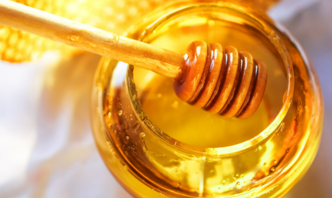 The Beekeeping Industry: What's Happening in 2023?